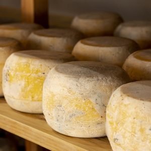 close-up-matured-cheese-wheels