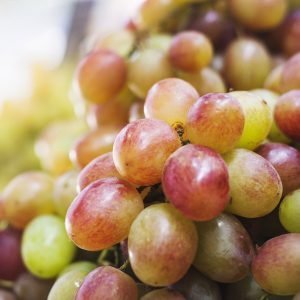close-up-red-green-grapes